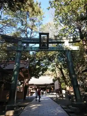 平塚八幡宮の本殿・本堂