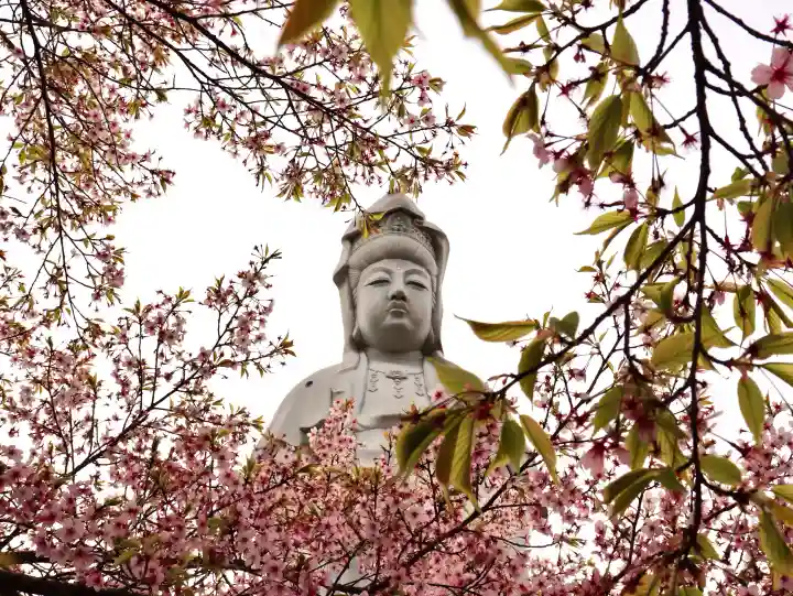 観音山慈眼院(高崎観音)の{uncategorized: "未分類", other: "その他", undefined: "問題あり", building: "その他建物", grave: "お墓", sacred_gate: "鳥居", guardian: "狛犬", statue: "像", buddha: "仏像", history: "歴史", nature: "自然", garden: "庭園", animal: "動物", pagoda: "塔", temizu: "手水舎", mountain_gate: "山門・神門", sanctuary: "本殿・本堂", subordinate: "末社・摂社", art: "芸術", scenery: "景色", jizo: "地蔵", ema: "絵馬", goshuin: "御朱印", omikuji: "おみくじ", items: "授与品その他", amulet: "お守り", goshuincho: "御朱印帳", eats: "食事", festival: "お祭り", votive_dance: "神楽", shichigosan: "七五三参", wedding: "結婚式", experience: "体験その他", initially: "初詣", around: "周辺", anti_infection: "感染症対策"}