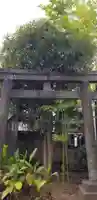 白髭神社の鳥居