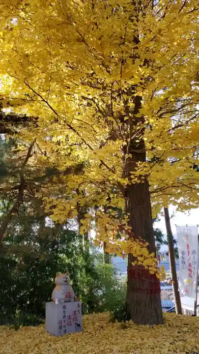 鹿角八坂神社の景色