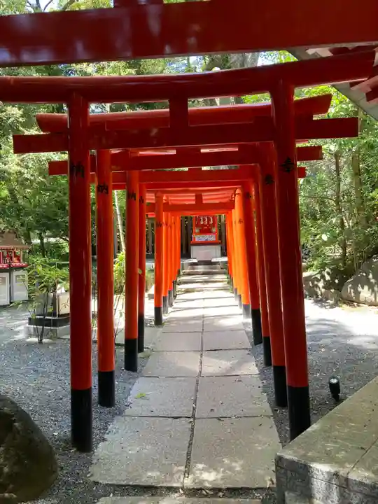 來宮神社(静岡県)