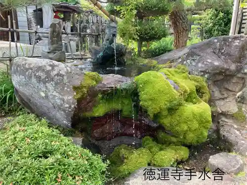 徳運寺(長野県)
