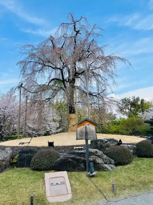 東寺(教王護国寺)(京都府)