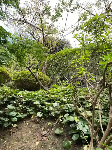 大船観音寺の庭園