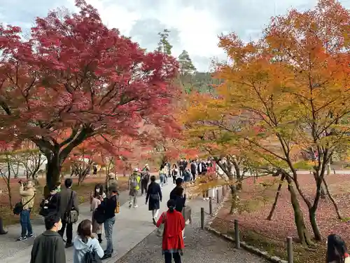 南禅院の景色