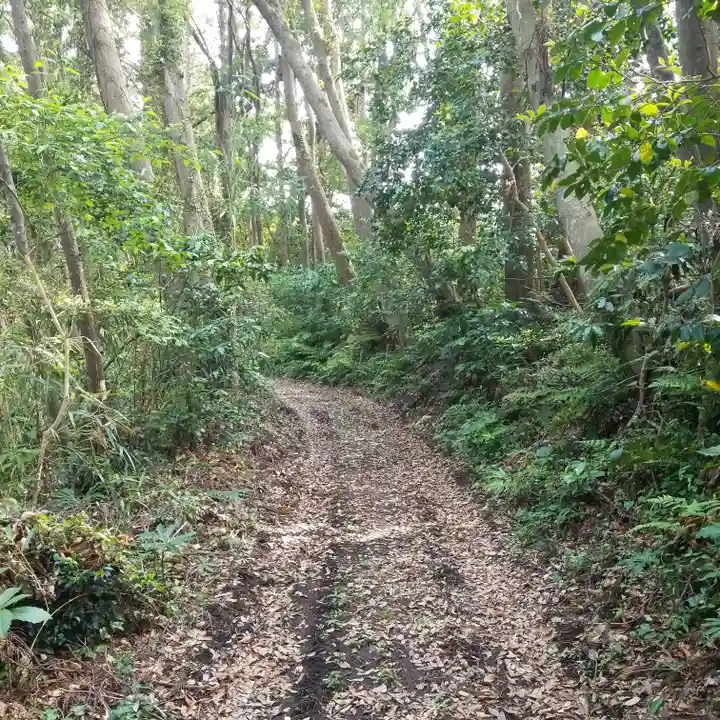 香取神社の自然