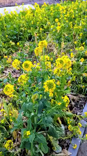 子安大明神の自然