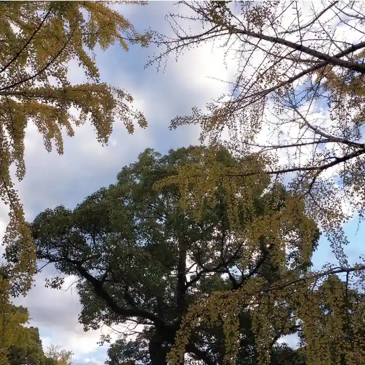 葛飾八幡宮の自然