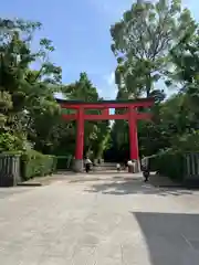 井草八幡宮(東京都)