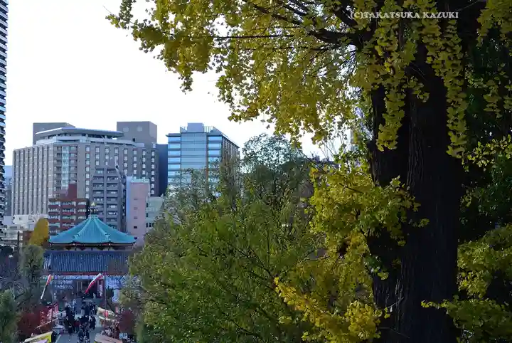 寛永寺不忍池弁天堂(東京都)