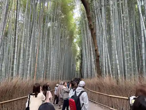 野宮神社(京都府)