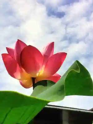 宗延寺(東京都)