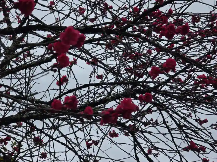 丹生都比売神社(和歌山県)