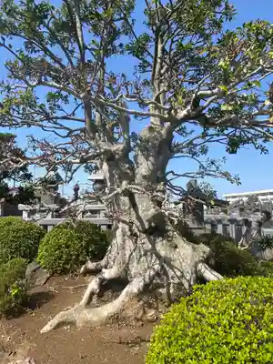 正福寺のその他建物