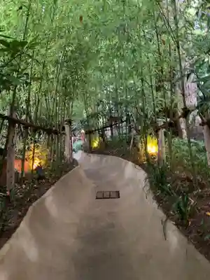 來宮神社(静岡県)