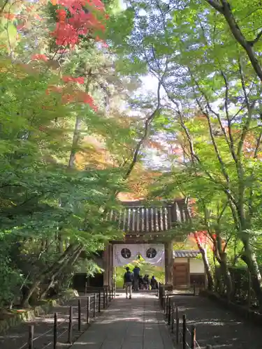 光明寺（粟生光明寺）の山門・神門