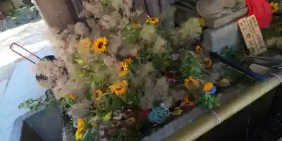 北野天満宮(京都府)