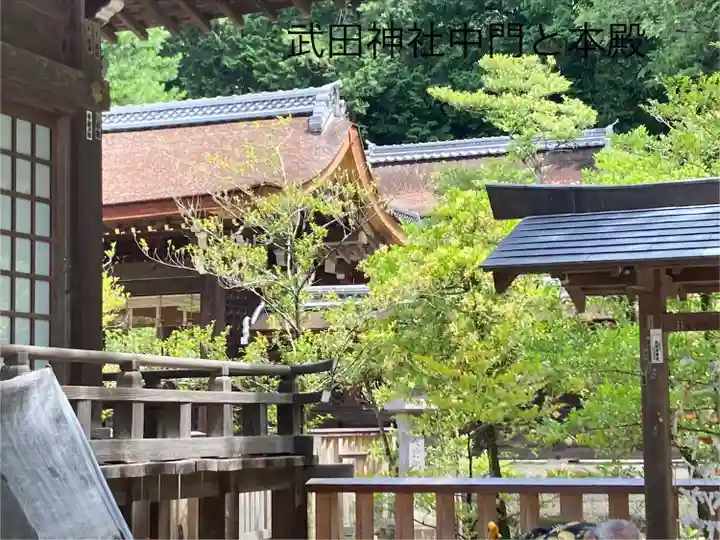 武田神社(山梨県)