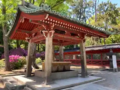 根津神社の手水舎