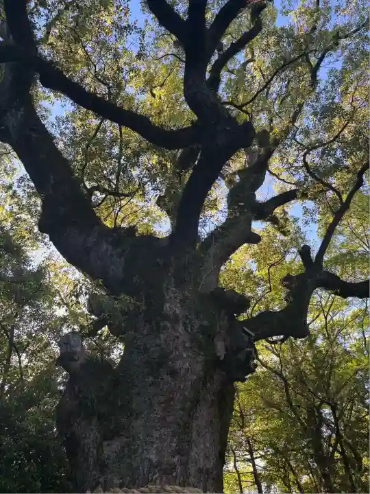 熱田神宮(愛知県)