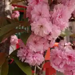 生田神社の自然