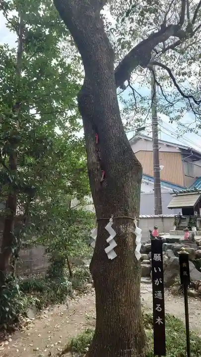 玉三稲荷神社の自然