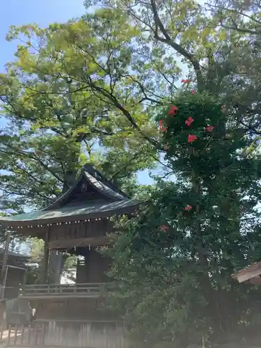 越ヶ谷久伊豆神社(埼玉県)