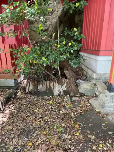 下畑大歳神社(兵庫県)