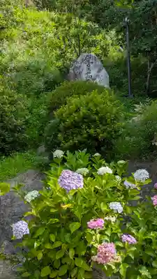 岡寺(龍蓋寺)(奈良県)