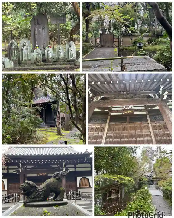 大正寺の{uncategorized: "未分類", other: "その他", undefined: "問題あり", building: "その他建物", grave: "お墓", sacred_gate: "鳥居", guardian: "狛犬", statue: "像", buddha: "仏像", history: "歴史", nature: "自然", garden: "庭園", animal: "動物", pagoda: "塔", temizu: "手水舎", mountain_gate: "山門・神門", sanctuary: "本殿・本堂", subordinate: "末社・摂社", art: "芸術", scenery: "景色", jizo: "地蔵", ema: "絵馬", goshuin: "御朱印", omikuji: "おみくじ", items: "授与品その他", amulet: "お守り", goshuincho: "御朱印帳", eats: "食事", festival: "お祭り", votive_dance: "神楽", shichigosan: "七五三参", wedding: "結婚式", experience: "体験その他", initially: "初詣", around: "周辺", anti_infection: "感染症対策"}