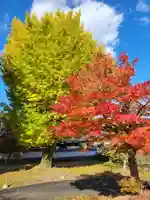 万松寺(兵庫県)