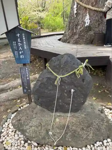 平野神社(京都府)