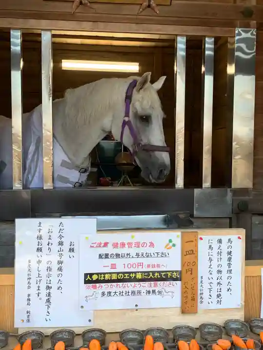 多度大社(三重県)