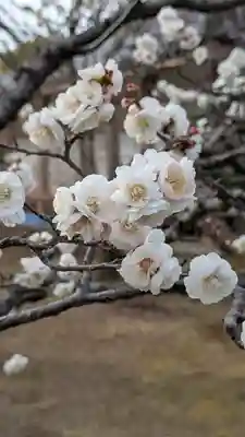  智積院(京都府)