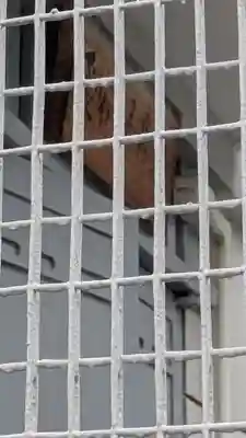 愛宕観音堂(愛宕念仏寺元地)(京都府)