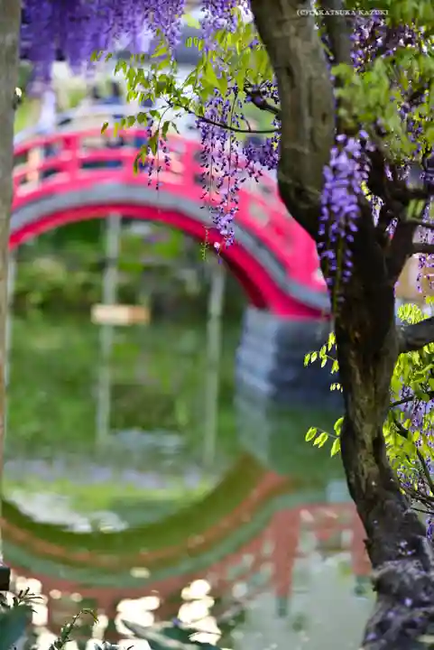 亀戸天神社(東京都)