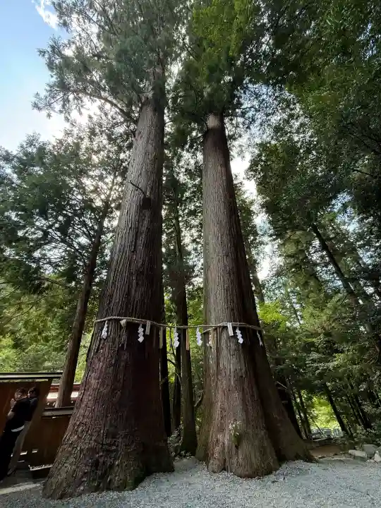 丹生川上神社(中社)(奈良県)