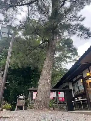 三輪神社(岐阜県)