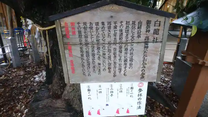 伊奴神社の歴史