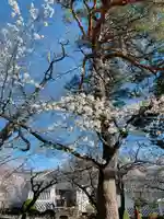 糠部神社の自然