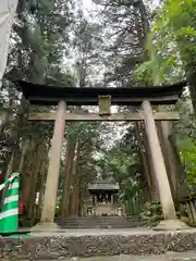 北口本宮冨士浅間神社の鳥居