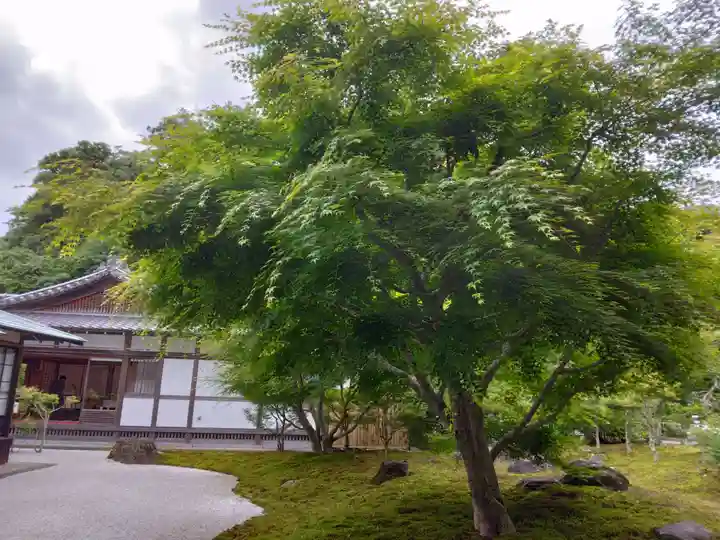 長壽寺(長寿寺)(神奈川県)