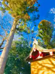 鹿嶋神社の本殿