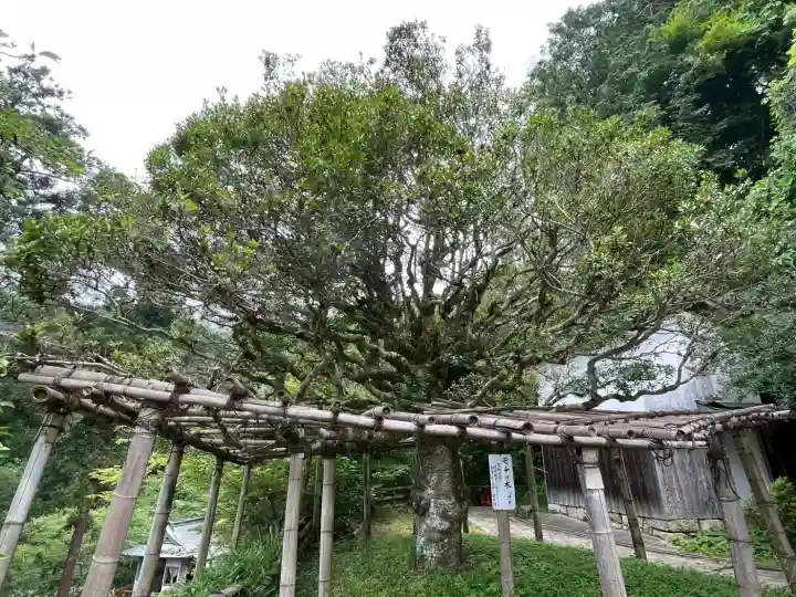 宝厳寺(滋賀県)