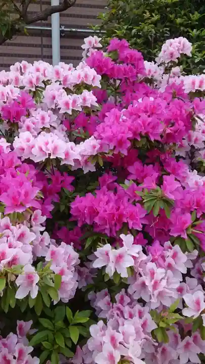 胡録神社(東京都)