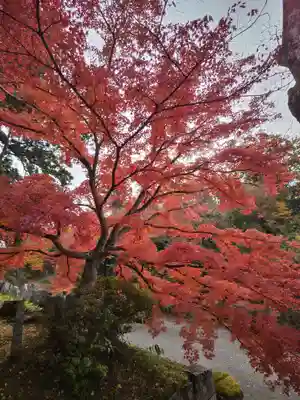 普門院（文知摺観音）(福島県)