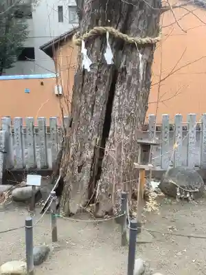 松原神社(愛知県)