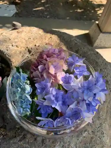 彌都加伎神社の手水舎