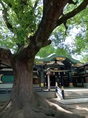 穴八幡宮の本殿・本堂