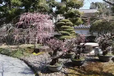 祐徳稲荷神社(佐賀県)